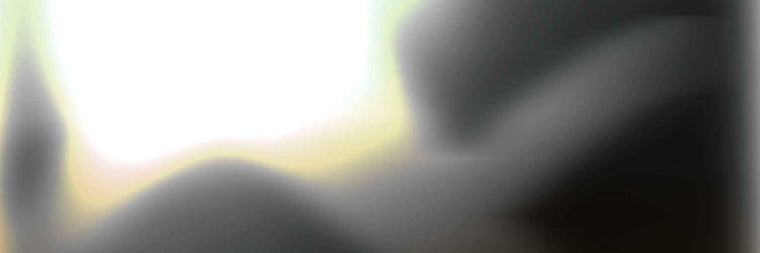 Bryan banner