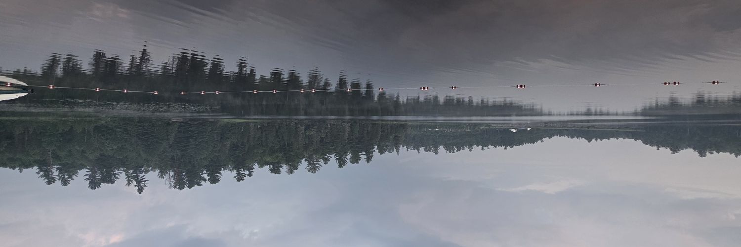 ChampionGungnir's profile banner image