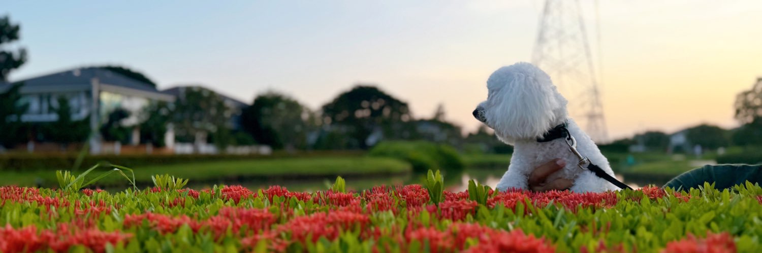 ⊙♡⊙ banner