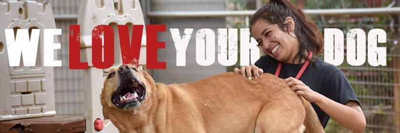 PawderosaRanch's profile banner image