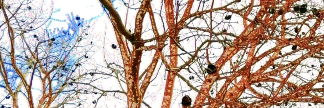 esraa_hasab's profile banner image