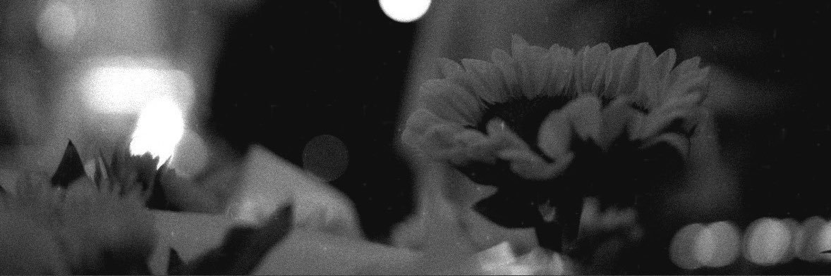 บุบุ่ยต้มไข่หนึ่งฟอง .ᐟ banner