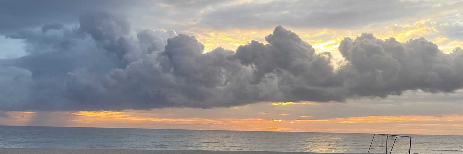 JoyjoyToTheW's profile banner image