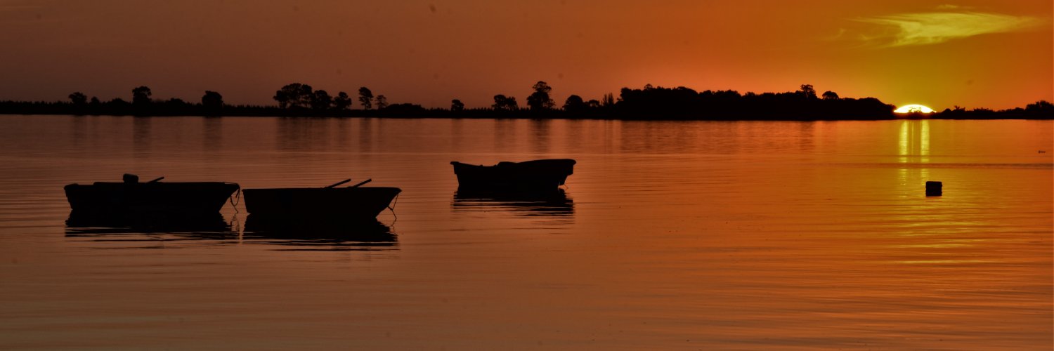 gganim's profile banner image