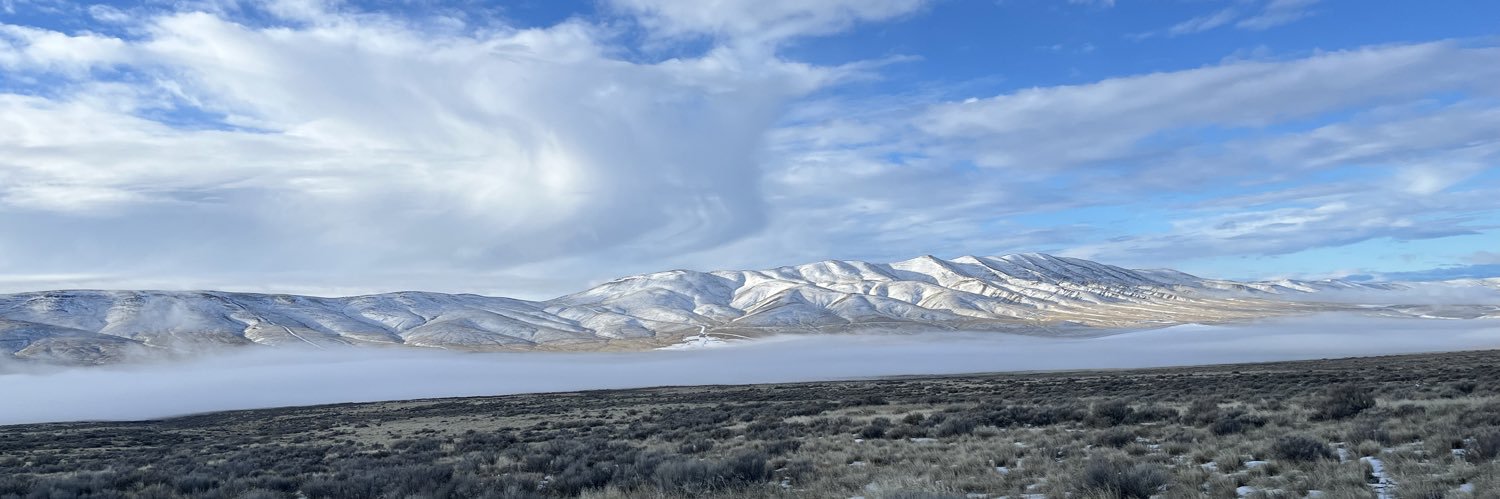 SagebrushBirdhunter's banner