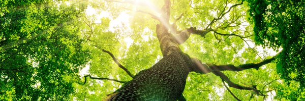 VikaraInstitute Profile Banner