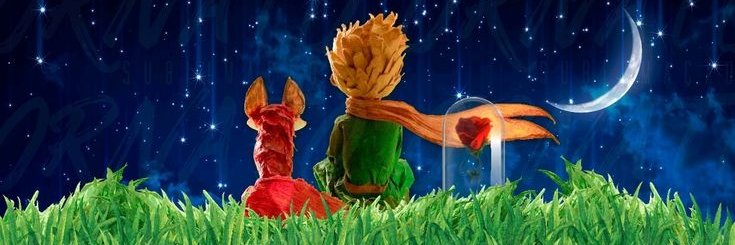 Eduardo Menezes banner