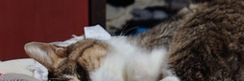 kwbt72's profile banner image