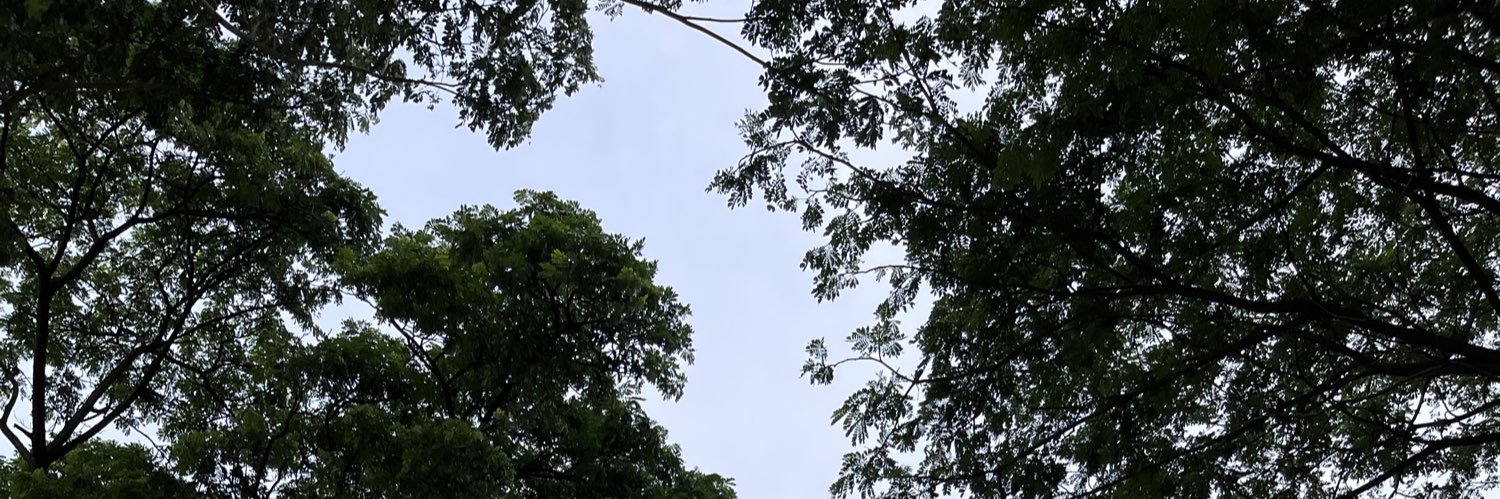 swtsecondchild's profile banner image