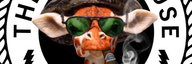 The Team House banner