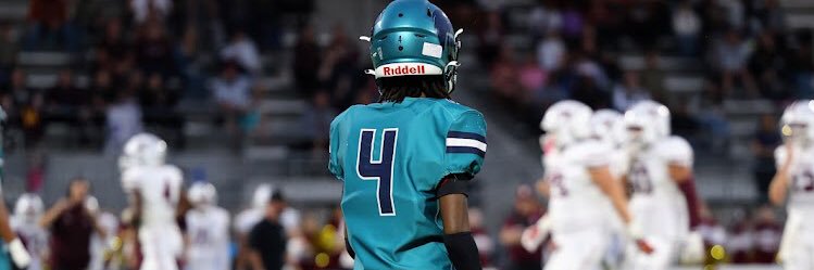 Terrance Palms banner