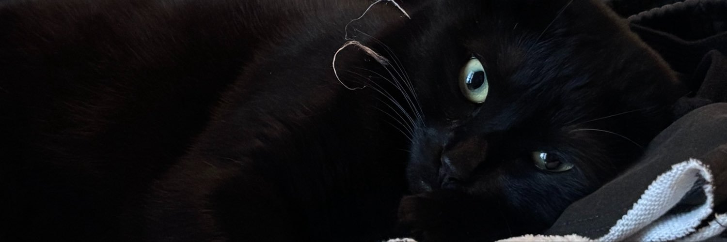 Zai_Krys's profile banner image