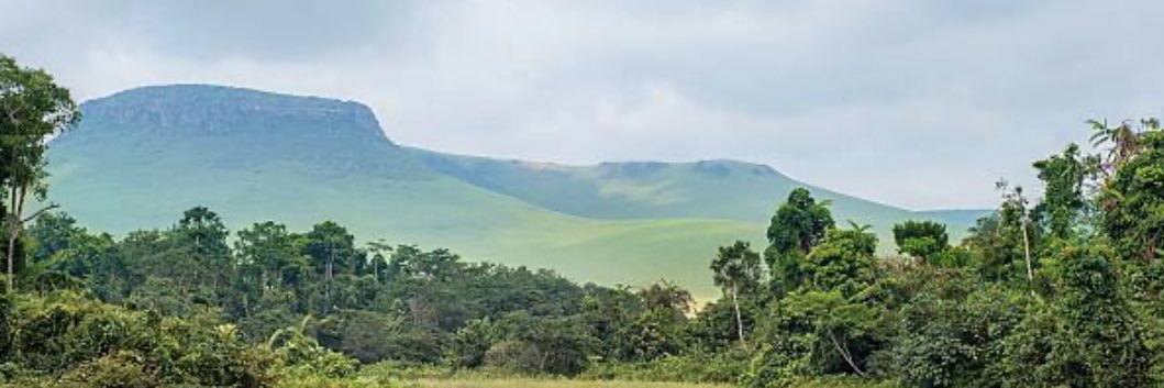 Amélie Mbk 🇨🇩 banner