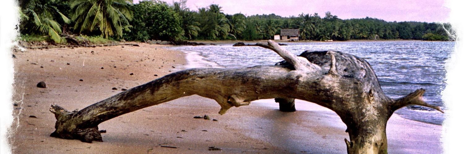 Richard Randall banner