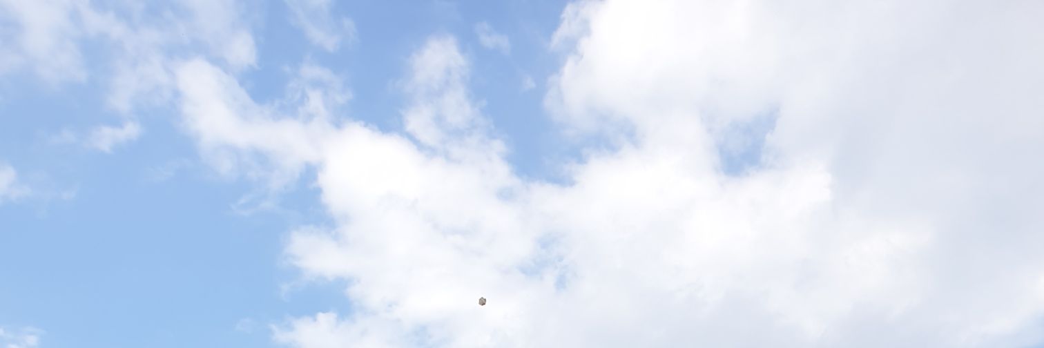 ivyviolette's profile banner image