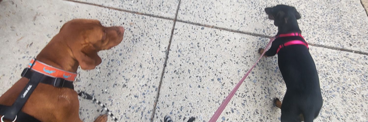stacyheather banner
