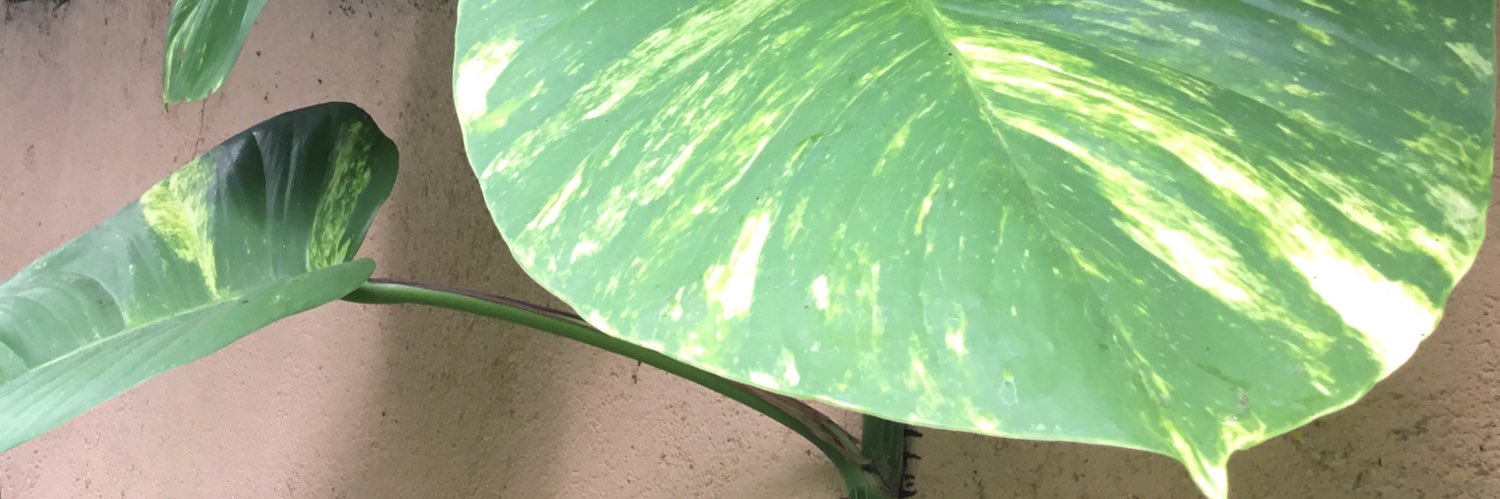 Smiley banner