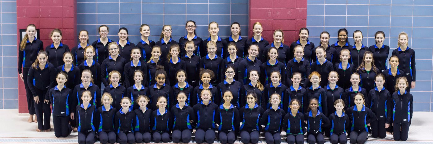 TorontoSynchro's profile banner image