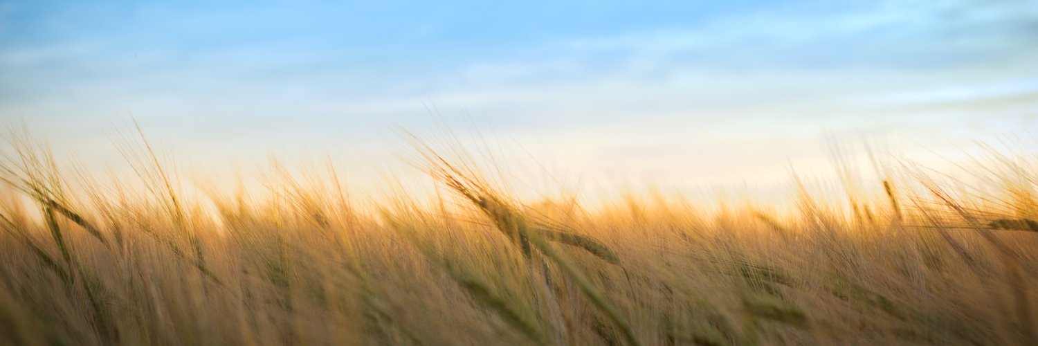 SR 🍇🍏🍈 banner