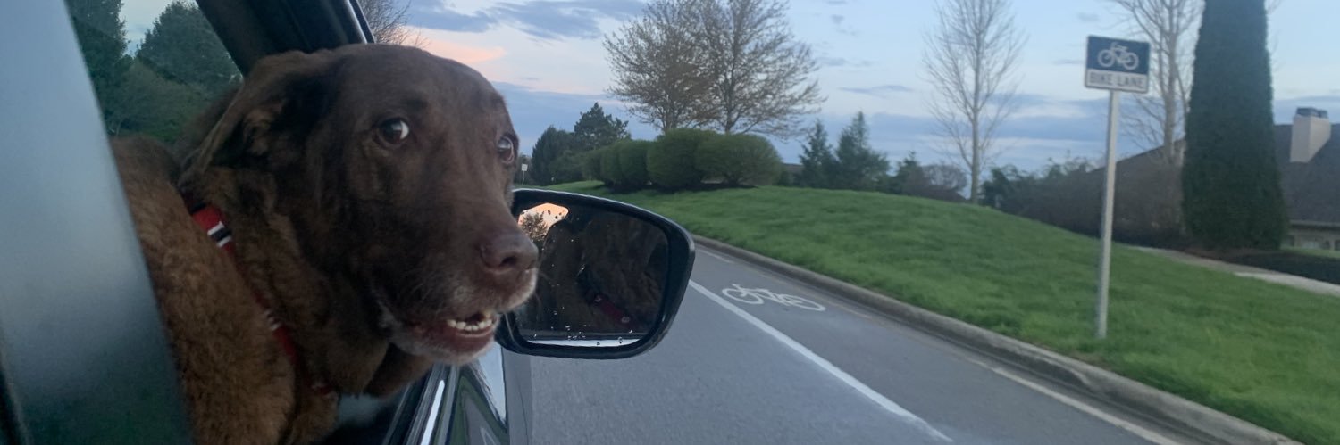 Michael Gambaiani banner