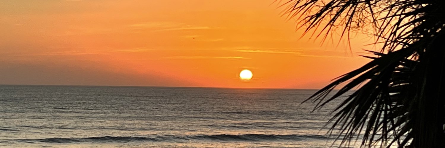 Parrot’s World banner