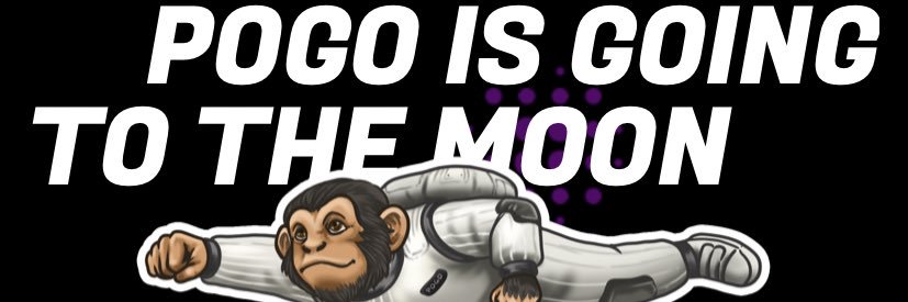 Pogo banner