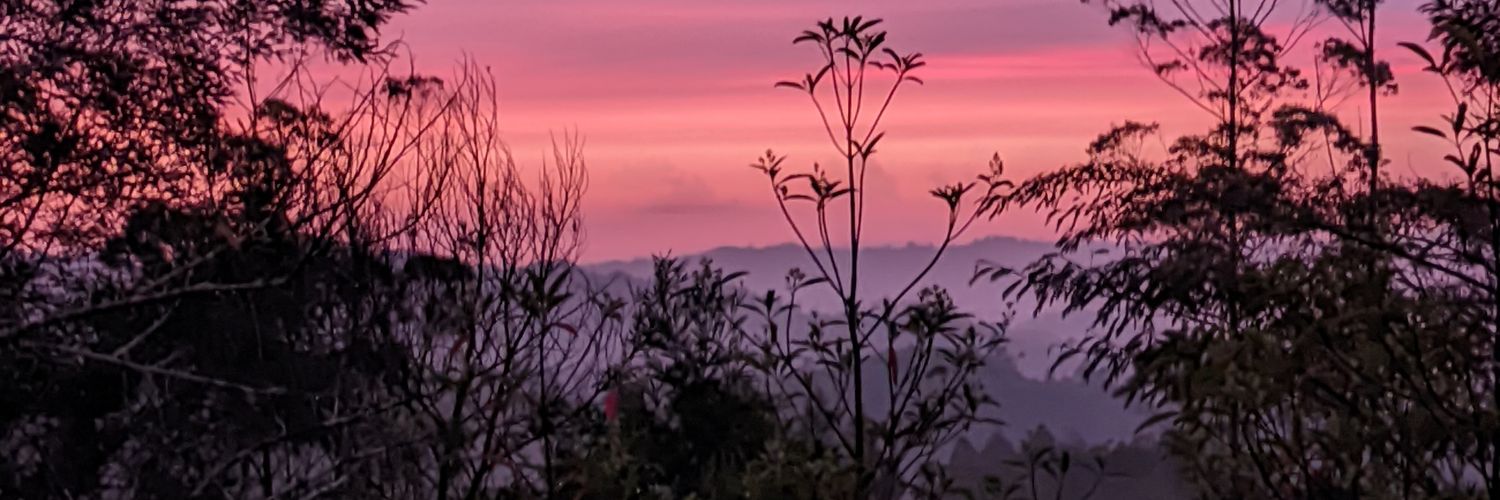 rexyscassano's profile banner image