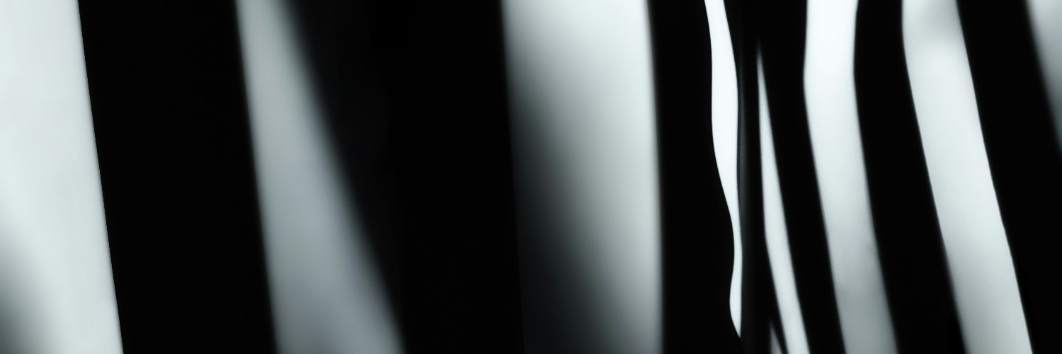 Fernando Pires Morgado banner