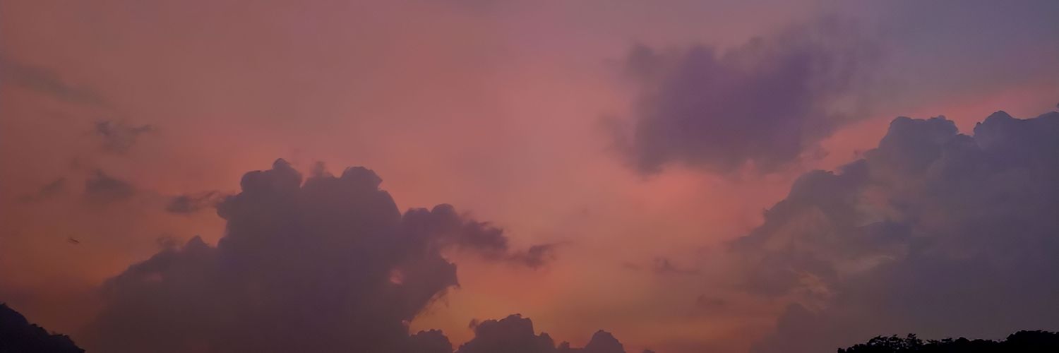 tiktiktikaaa🐶 banner