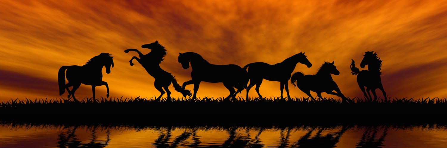 AlaaddinYuksel's profile banner image
