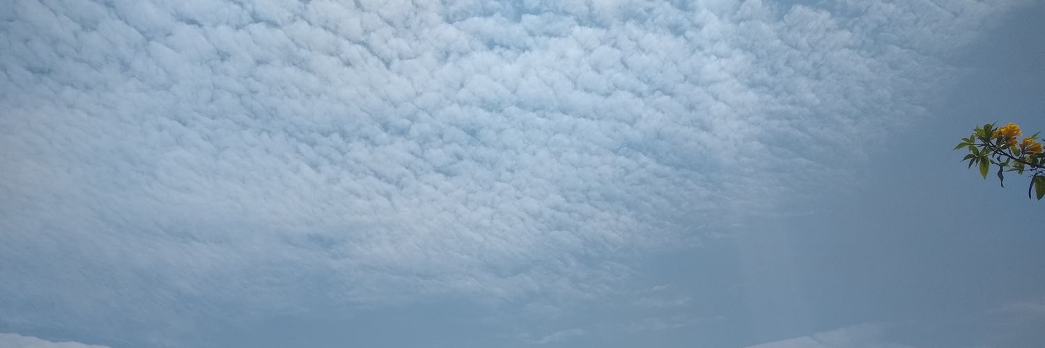 Sonimar77's profile banner image