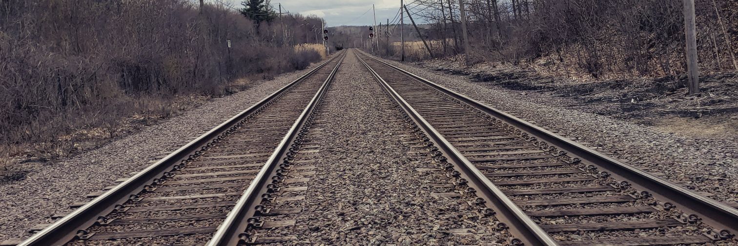 Lexi D.⚡️ Lane banner