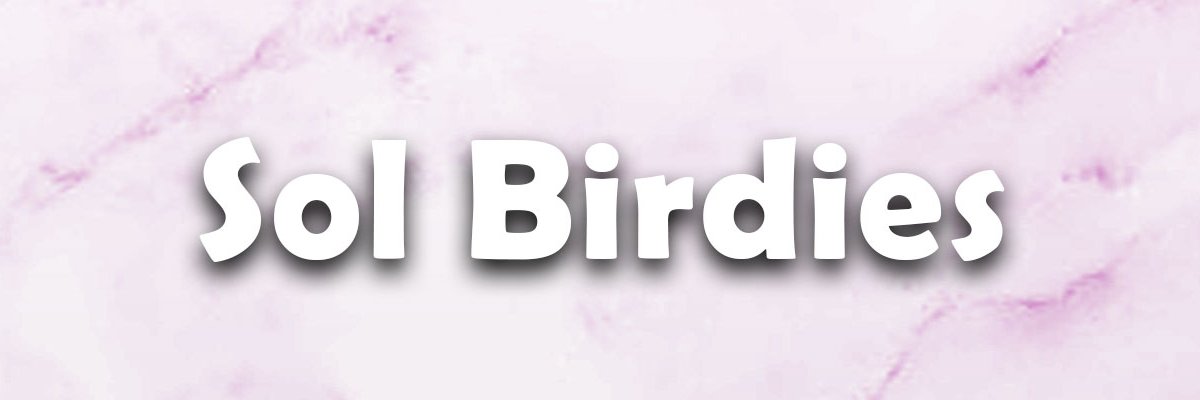 SolBirdies's profile banner image
