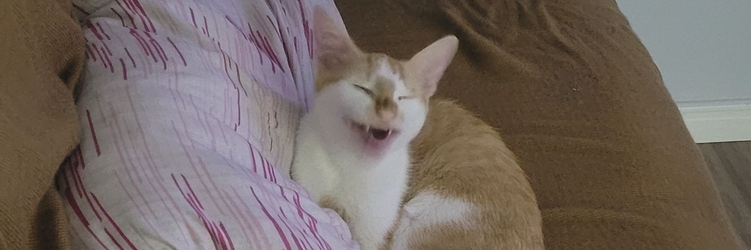 z1yvan's profile banner image