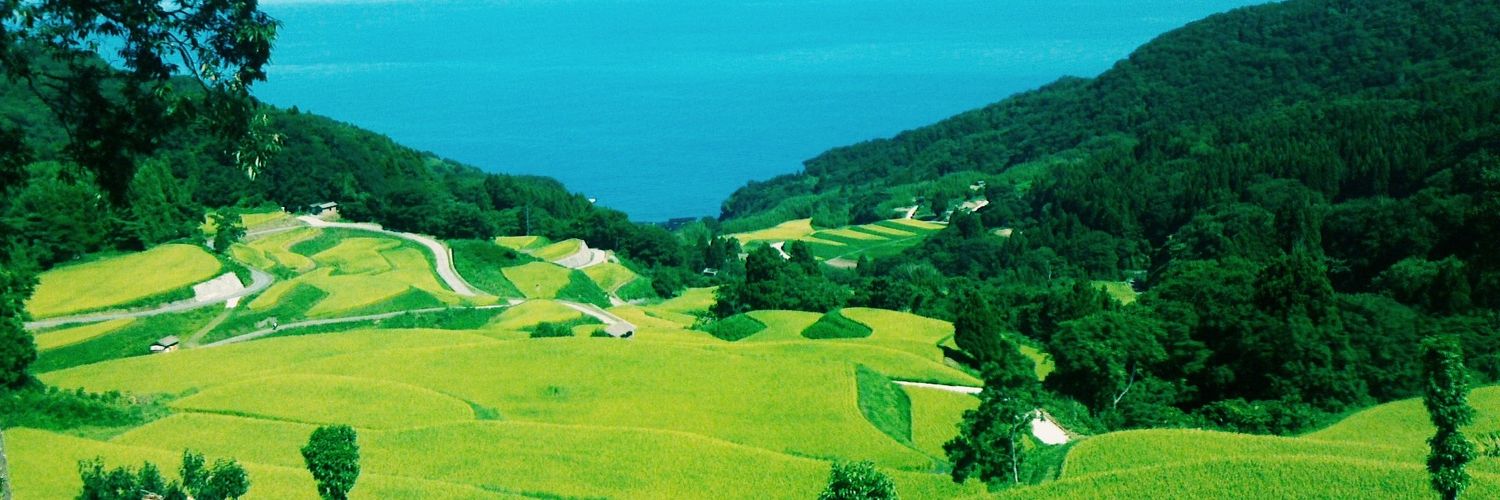 山下 晴海 banner