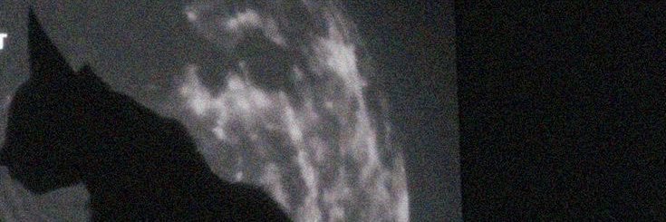 ؘ banner