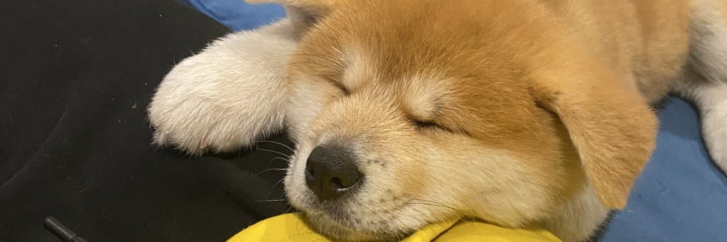 Zawskiii's profile banner image