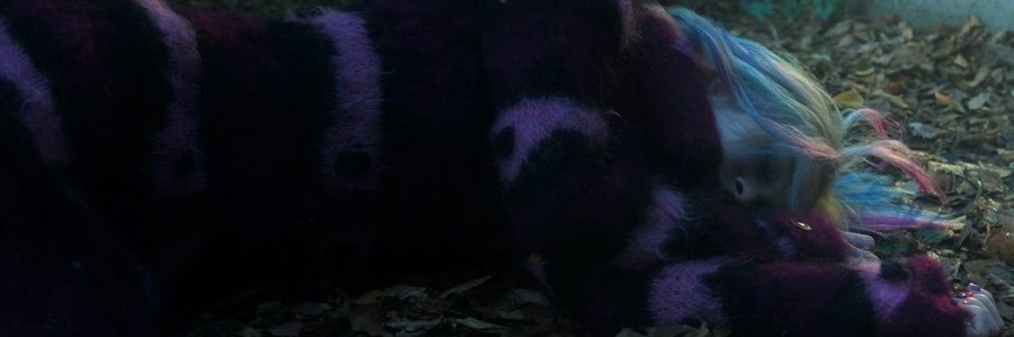 PsychoForEnid's profile banner image