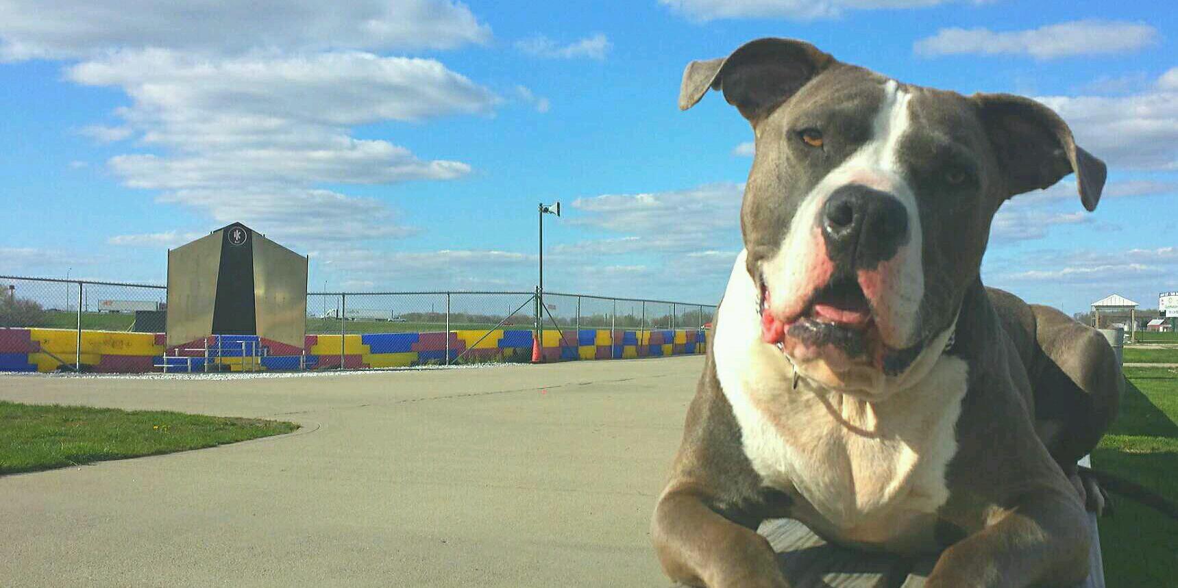 massa_pit's profile banner image