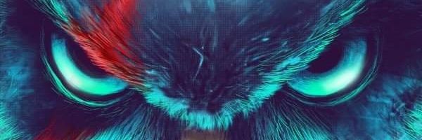 eugeneelke's profile banner image