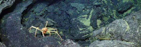 oceanobserv Profile Banner