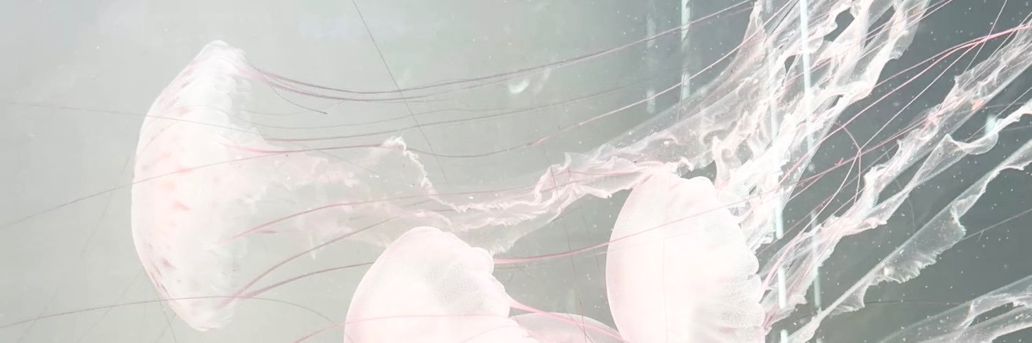 yoohnyan's profile banner image