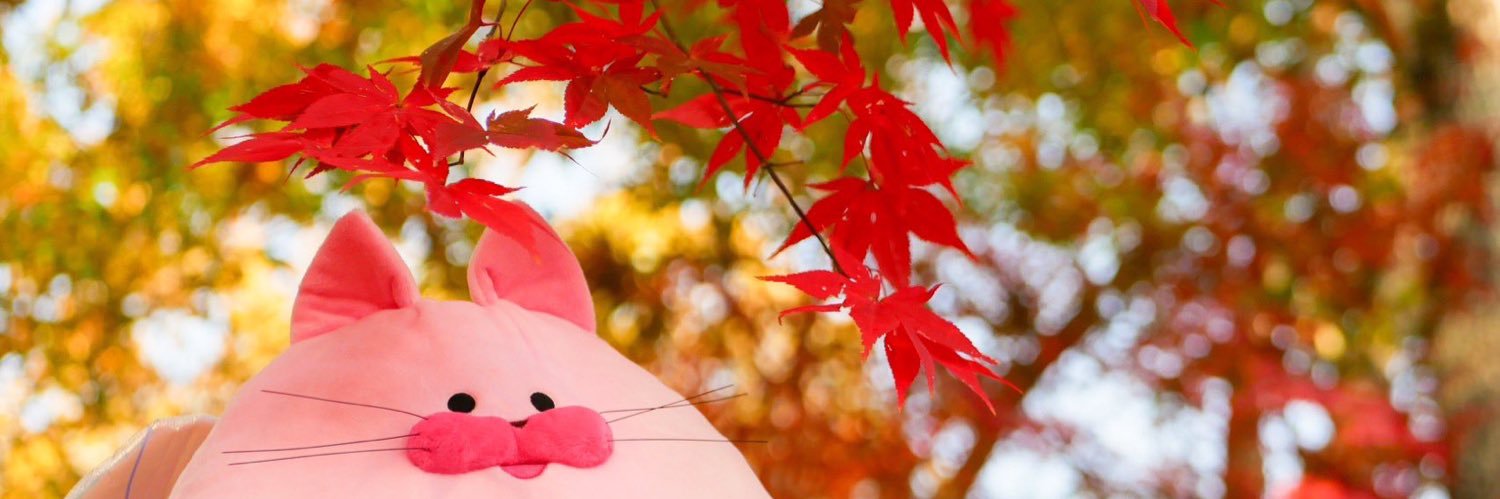 nsk89's profile banner image