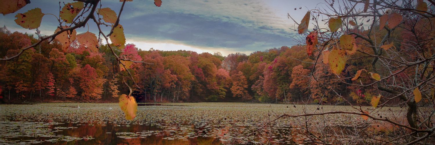 YaBoiIRCE's profile banner image