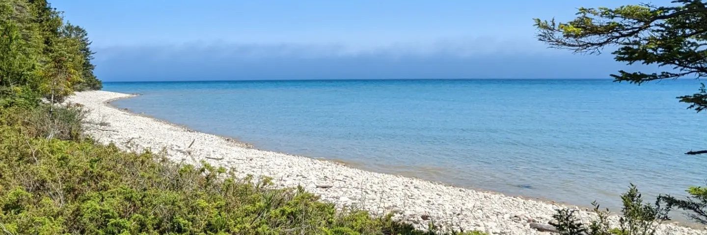 Britton Picciolini banner