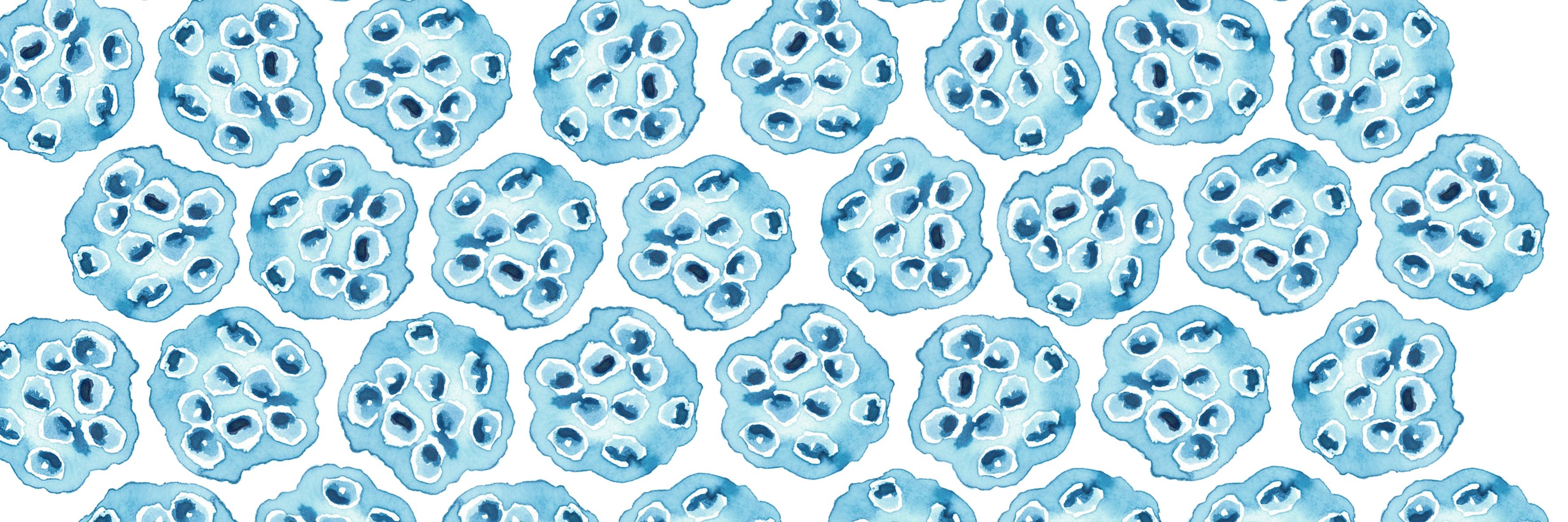 Estelle Berger banner