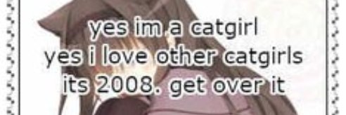 cat 🏴‍☠️⚔ banner