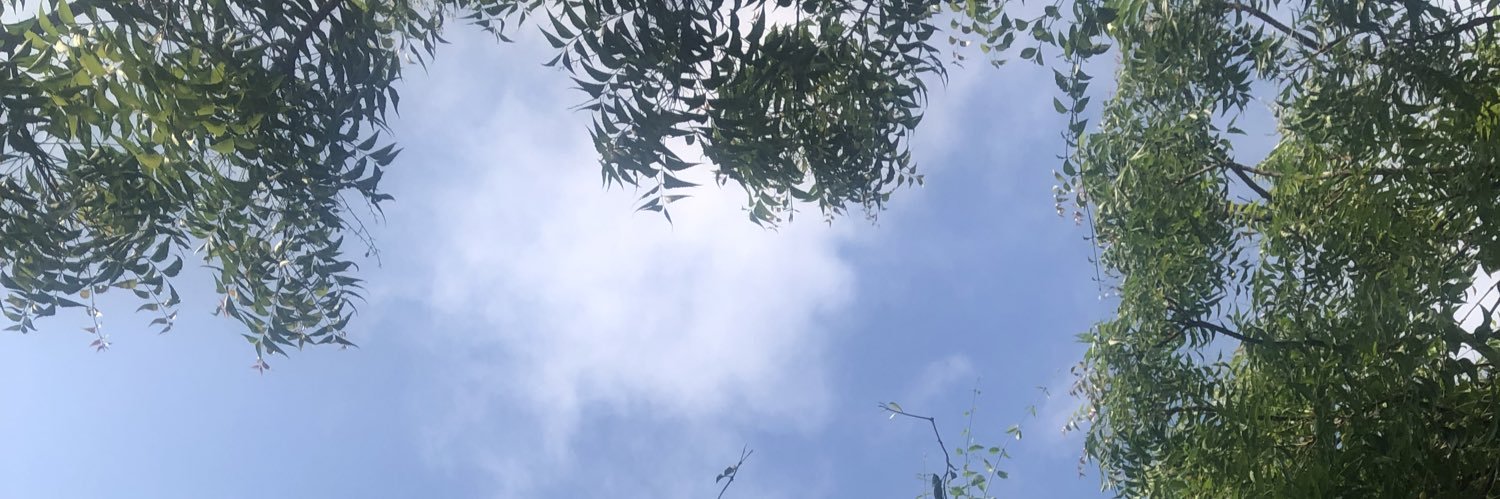 Annie_caz's profile banner image