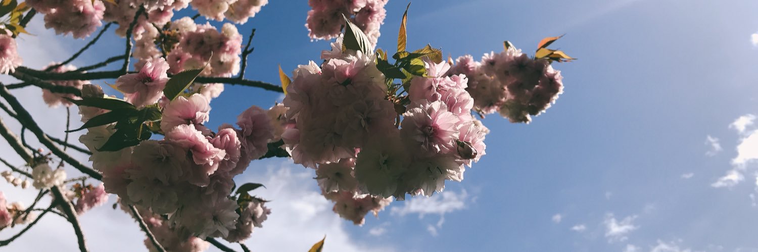 アクターズ仙台 banner