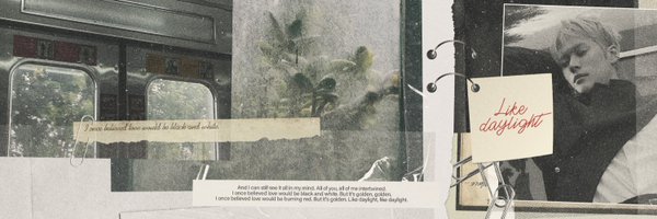 zevionik Profile Banner